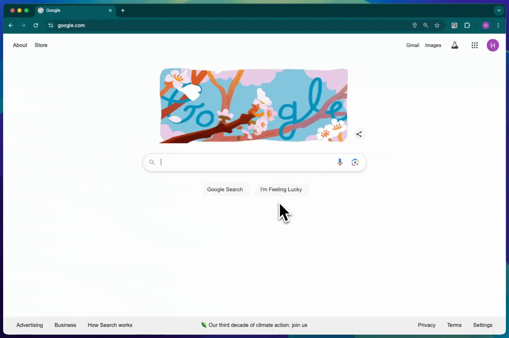 Searchify in action